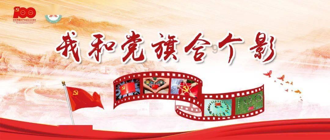 一只让人心痛的猫,你以为它的生命即将终止,然而结局让人暖哭